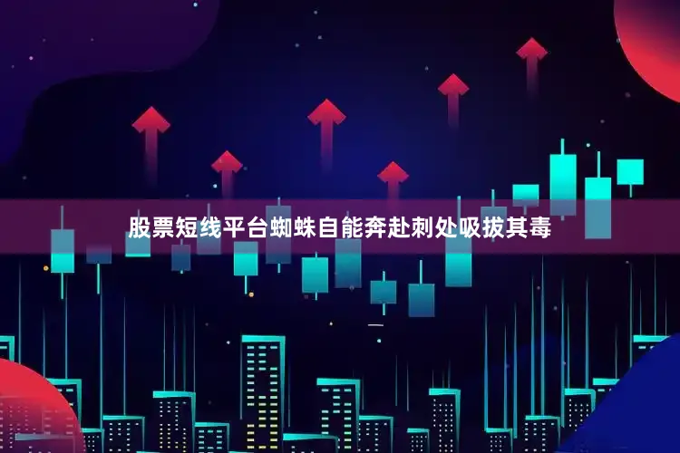 股票短线平台蜘蛛自能奔赴刺处吸拔其毒