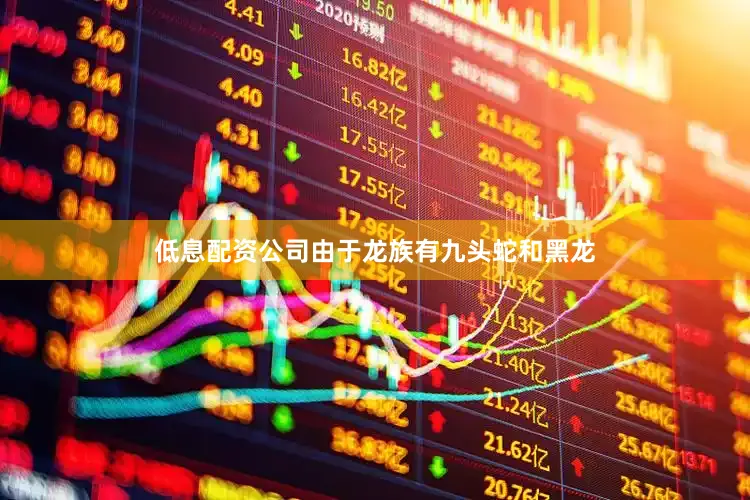 低息配资公司由于龙族有九头蛇和黑龙